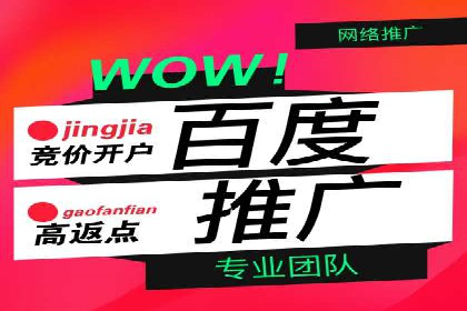 某公司通过百度SEM竞价推广实现快速市场扩张的秘诀
